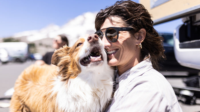 Comment emmener votre chien avec vous lors de vos aventures en plein air