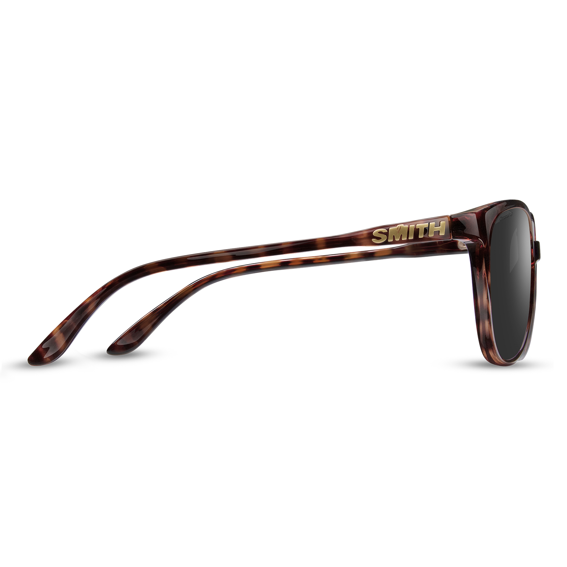 Cheetah RX, Prescription + Tortoise + ChromaPop Polarized Blue Mirror