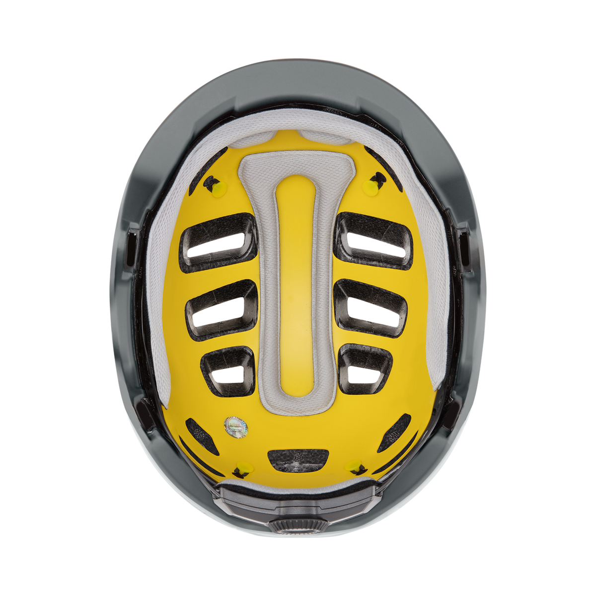Express Mips® - Past Season