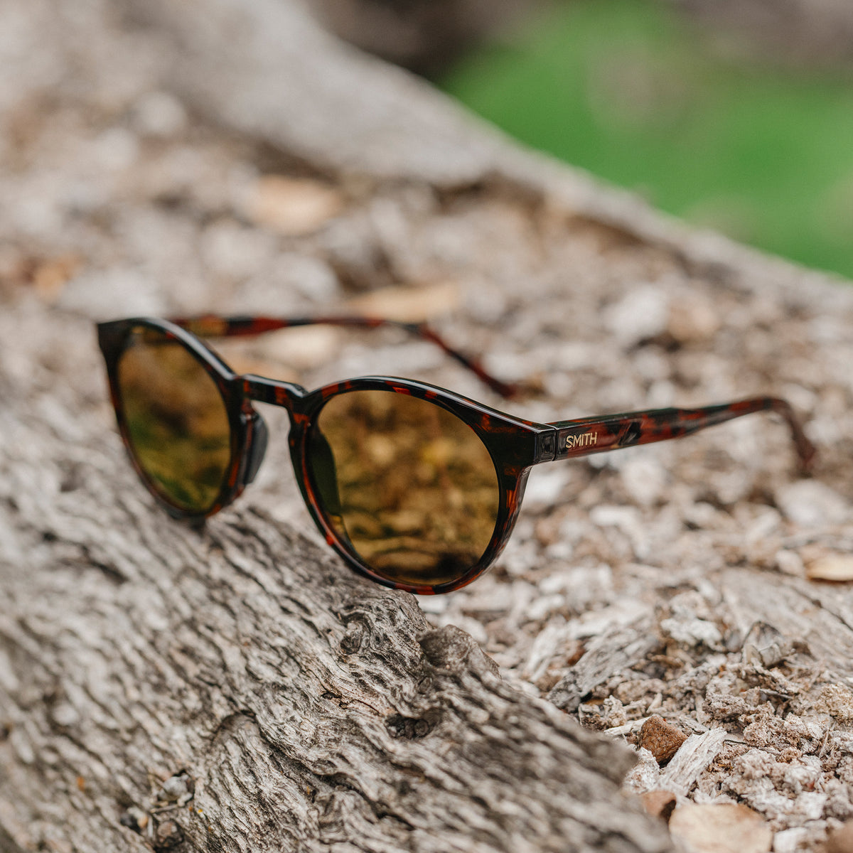 Westward, Sunglasses + Summit Crystal | ChromaPop Polarized Gray Green